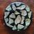 Vintage abalone shell and lucite trivet 1 thumbnail