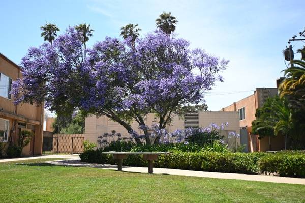 $1,336 / 288ft2 - Summer Special, reduced rent, enjoy summer in our garden setting (Santa Maria)63663836649347120