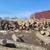 White ash Log Length 4 cd. load 1 thumbnail