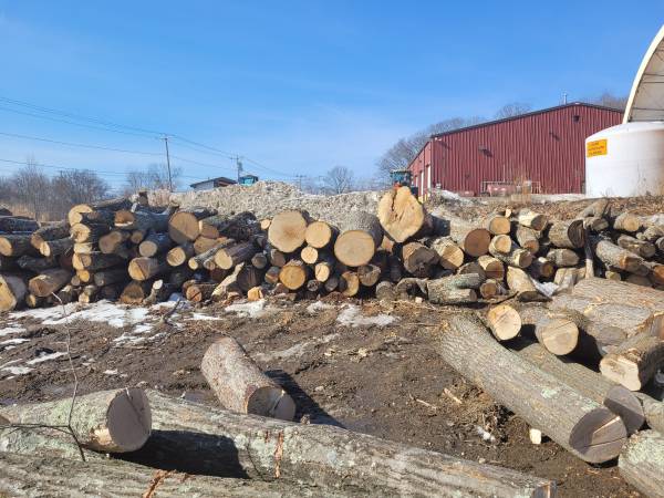 White ash Log Length 4 cd. load 1