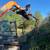 Brush Clearing Services 11 thumbnail