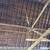 Barn Roofer Wanted 4 thumbnail