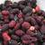 Small  Plum and Vine Cherry trees, mint bushes 3 thumbnail
