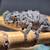 Baby Hybrid Designer Panther Chameleon - (4-Month - Sexed & Showing) 6 thumbnail