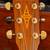 Parlor size 2009 ALVAREZ RF300 Plus Case 3 thumbnail