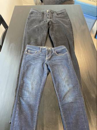 Jeans Women’s Pants 1