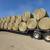 All Types of Hay for Sale - Delivery Available 13 thumbnail