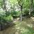 Incredible value, exceptional setting for in town Ann Arbor duplex 3 thumbnail