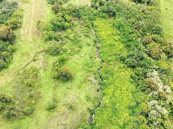 $1,800,000 Hana Raw Land! 50.5 Acres of Untouched Maui Beauty! (Hana)63686745828099124