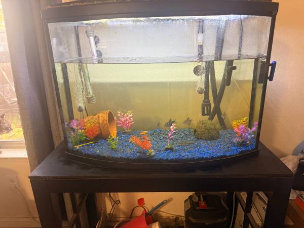 36 gallon bow front complete set up 1