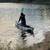 kayak 1 thumbnail