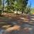 RV Lot Cedar Trace Mobile Home and RV Park 6 thumbnail