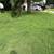 Lawn mowing 3 thumbnail