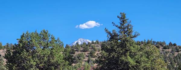 $6,500 Lot in Lake Shastina's Rancho Hills backed by Shasta River (Lake Shastina)63678201054337122