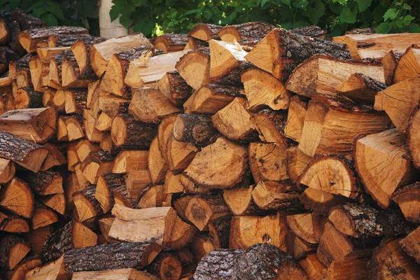 Wood For Sale firewood fire wood stove fireplace burning pit camp 1