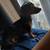 Lost Dog 1 thumbnail