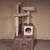 Cat TREE TOWER with box drawer($50) 1 thumbnail