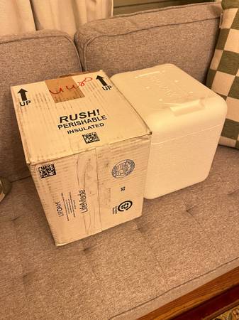 Styrofoam coolers - small/medium 1