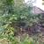 Junk Removal, Yard Cleanup & Concrete Removal Services 1 thumbnail