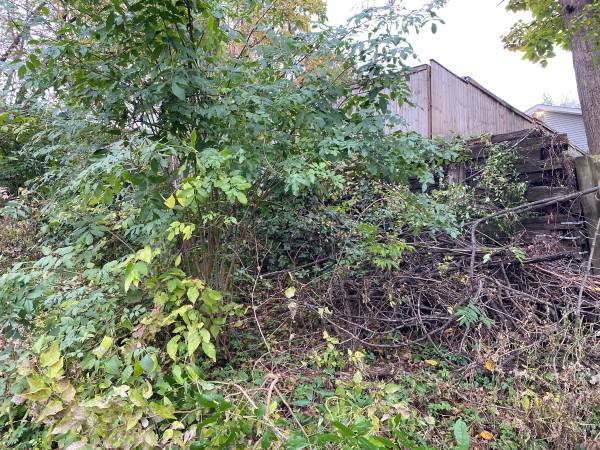 Junk Removal, Yard Cleanup & Concrete Removal Services 1