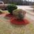 Pruning, mulch, lawn cleanup 10 thumbnail