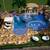 LANDSCAPE DESIGN 3 thumbnail