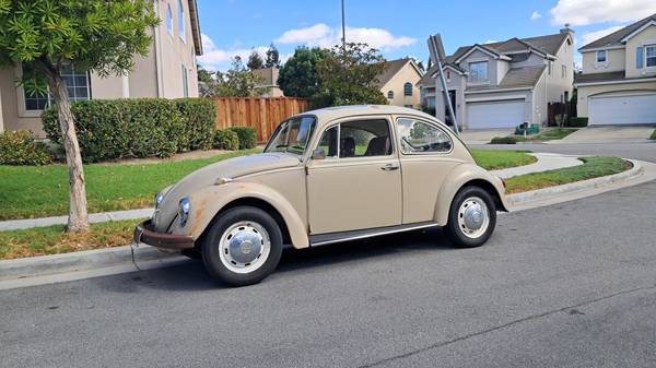 1968 volkswagen Bug 1