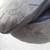 FIORENTINI + BAKER Black Italian Leather Lace Up Boots Size 2 thumbnail