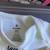 Halloween Onsies 0-3 Months NWOT 5 thumbnail