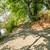 Custom 3634sf Home on 5 acres Excellent Lebanon location! 12 thumbnail