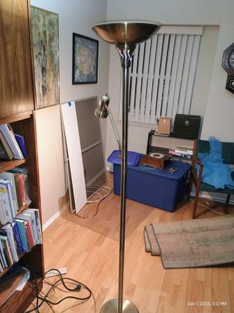 Double bulb flexible floor lamp 1