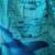 shark print swim suit - size 10-12 - excellent condition 4 thumbnail