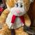 Stuffed Garfield Toy 1 thumbnail