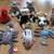 Ty Beanie Babies 1 thumbnail