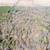 10 Wooded Acres Near Wisconsin Dells 15 thumbnail