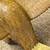 Charming Vintage to Antique Americana Folk Art Bald Eagle 4 thumbnail