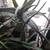 Large aloe vera plant 2 thumbnail