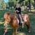 Pony 1 thumbnail