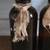 Primitive Brown Bottle Set 3 thumbnail