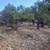 Duchesne, Utah Land for Sale 4 thumbnail