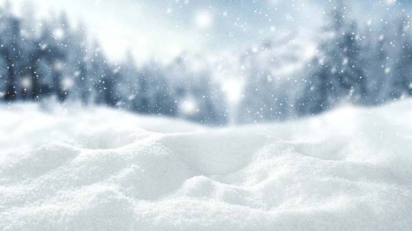 Moved up here from NC looking for someone to help me play in the snow 1