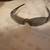 oakley 19 thumbnail