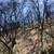 80 Amazing Acres $78,000. 7 thumbnail