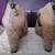 Shoes women's 3 thumbnail