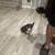 Corgi puppy 2 thumbnail