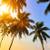 🌴First month free!!! Call today!! 🌴 1 thumbnail
