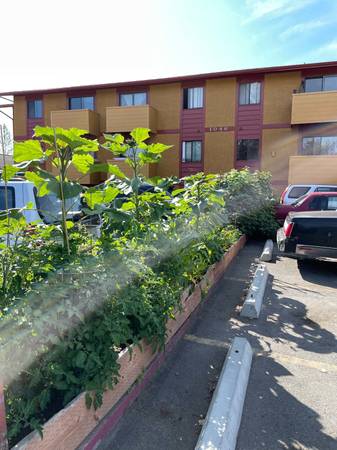$1,307 / 1br - 750ft2 - Patio/Balcony, Controlled Access, Window Coverings (1046 W 26th Ave, Anchorage, AK)63991793773443124