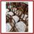 Baker Furniture Louis Xv Style Dining Chairs, Set Of 10 14 thumbnail
