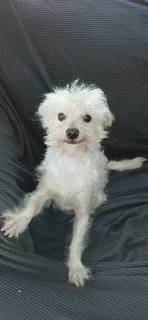 Multi-Pooh 5-6 (Visalia)63963774169219120