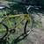 TREK MOUNTAIN BIKE 830 21 speed bicycle made in the USA 1 thumbnail